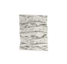 Coal Essential Neck Gaiter (26/27) Snow Camo O/S