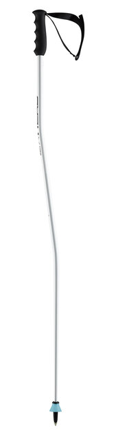 Head Wc Sg (23/24)