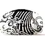Gogglesoc Gogglesoc Wave Dance Pro Soc (26/27)