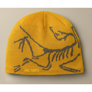 Arc'teryx Bird Head Toque (26/27) Nucleus / Mongoose