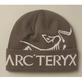 Arc'teryx Bird Word Toque (26/27) Mongoose / Sea Salt
