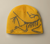 Arc'teryx Bird Head Toque (26/27) Nucleus / Mongoose