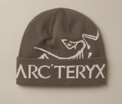 Arc'teryx Bird Word Toque (26/27) Mongoose / Sea Salt