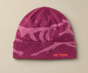 Arc'teryx Grotto Toque (26/27) Renegade / Lt Renegade