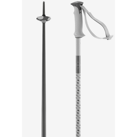 Salomon Poles Polar Grey Violet (26/27)