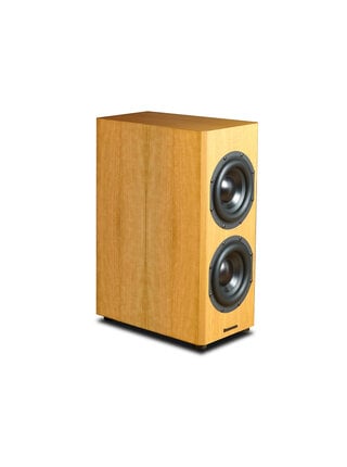 Mini T Subwoofer (Each)