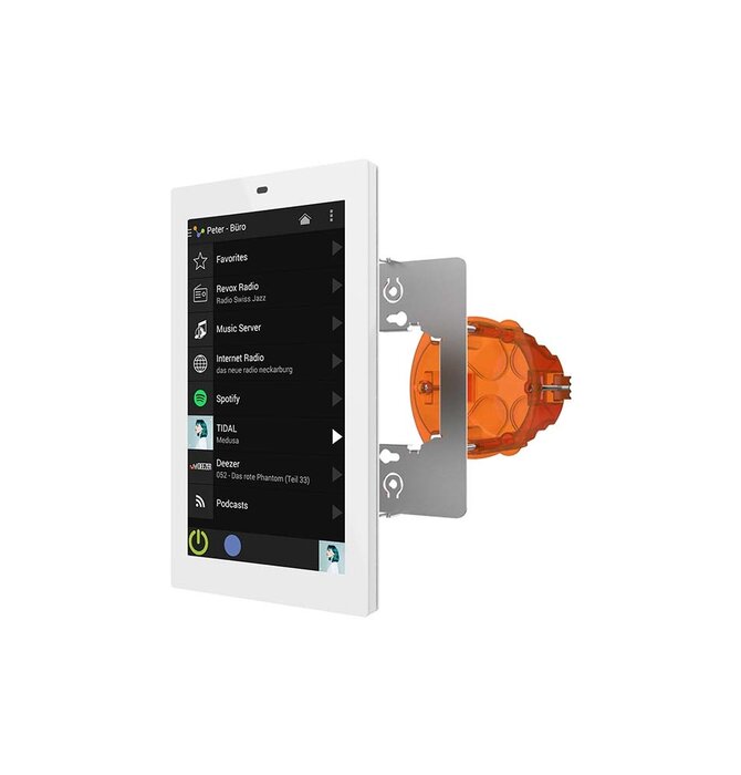 Control V 255 Display with WLAN