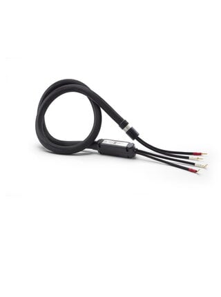 Shunyata Research Sigma V2 Speaker Cable with Spade Termination, Showroom Demo in Mint Condition Gold Spade Connectors 2 meter