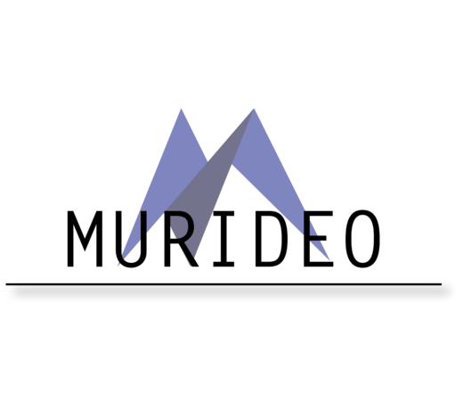 Murideo