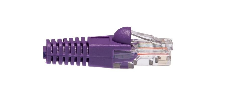 25" Cat6 Premium Networking Cable, Purple