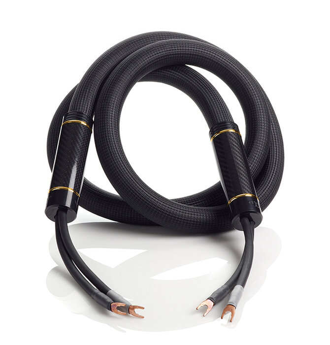 Shunyata Research - Alpha v2 Speaker Cable ( Pair ) Demo in Great Condition