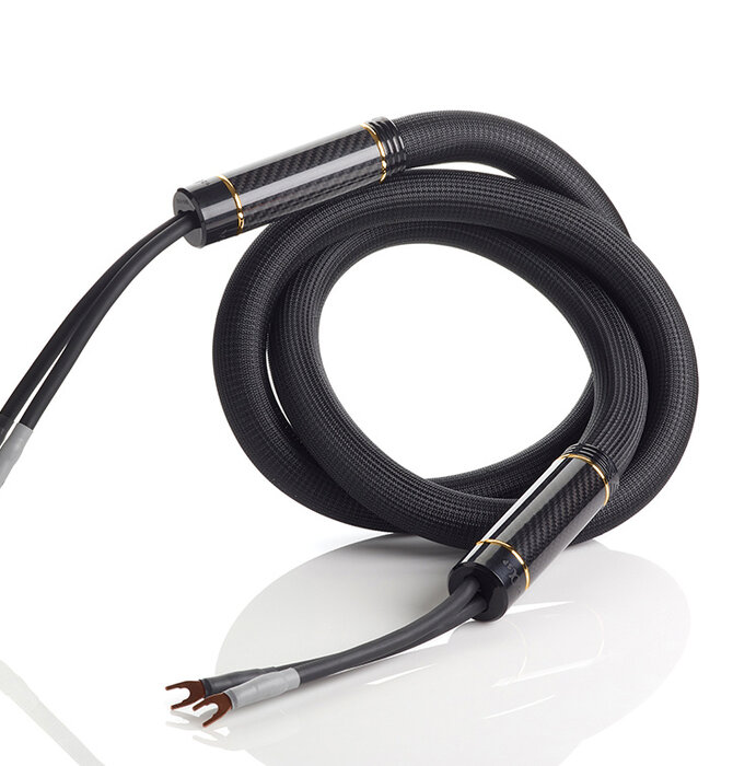 Shunyata Research - Alpha v2 Speaker Cable ( Pair ) Demo in Great Condition