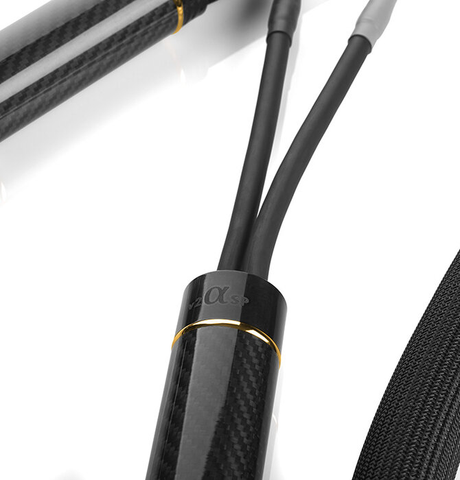 Shunyata Research - Alpha v2 Speaker Cable ( Pair ) Demo in Great Condition