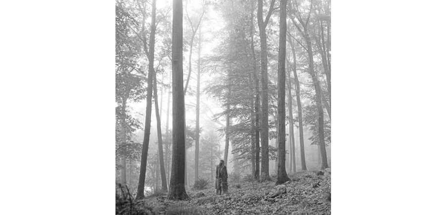 Taylor Swift - Folklore , Colored Beige Vinyl 2 LP Gatefold Jacket
