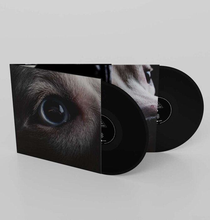 Roger Waters - The Dark Side Of The Moon REDUX , 2 x LP 140 Gram Vinyl