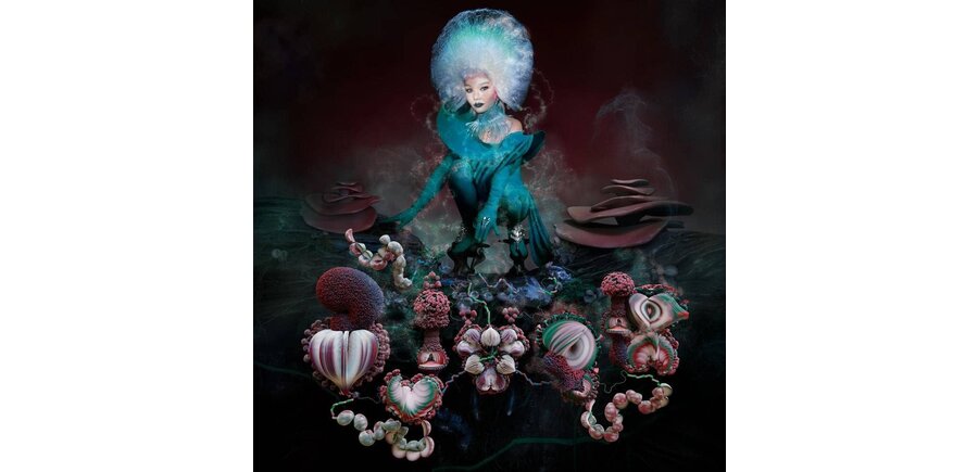 Björk Fossora 2 LP Vinyl