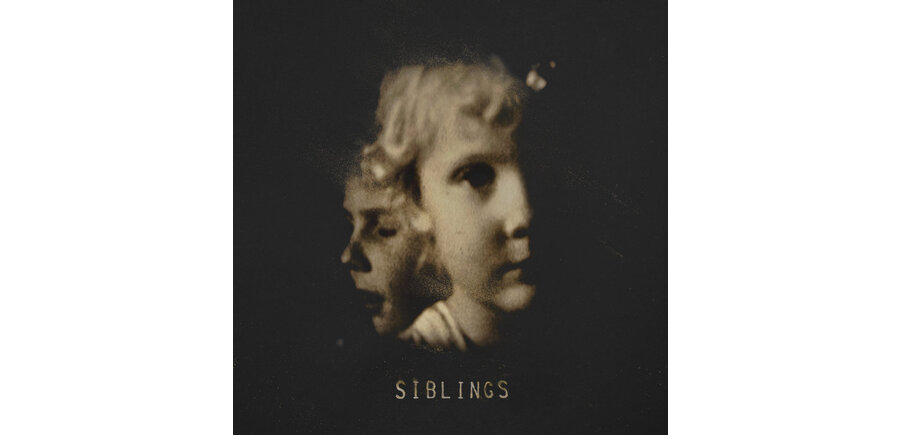 Alex Somers - Siblings , Debut Album 2LP Vinyl