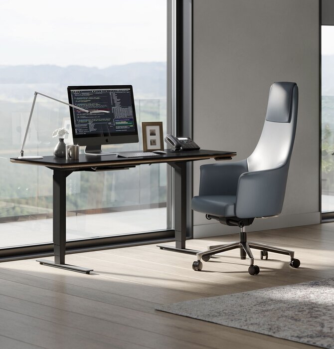 BDI Bolo™ 3531 Executive Leather Office Chair