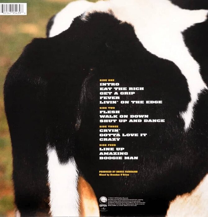 Aerosmith - Get A Grip , Reissued on 180 Gram 2LP Vinyl