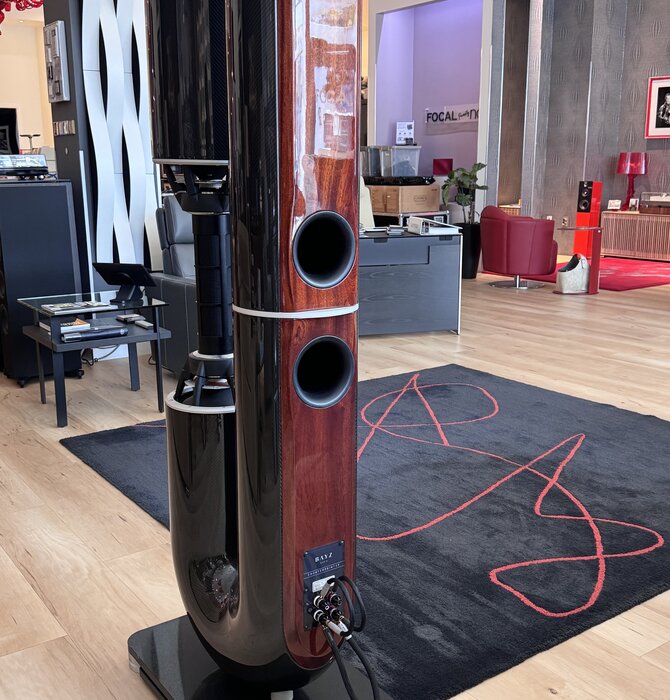Bayz Audio - Counterpoint 2.0 Reference Speaker Carbon Fiber , Showroom Demo in Mint Condition