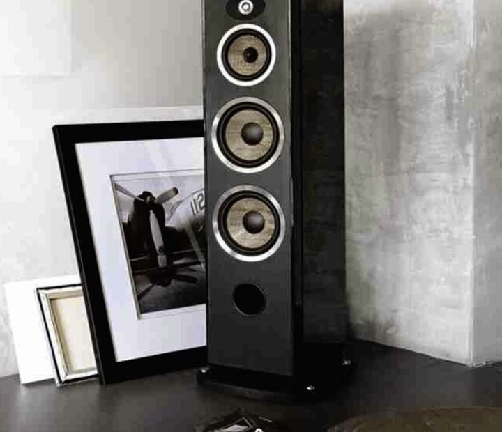 what is the most high end speaker?