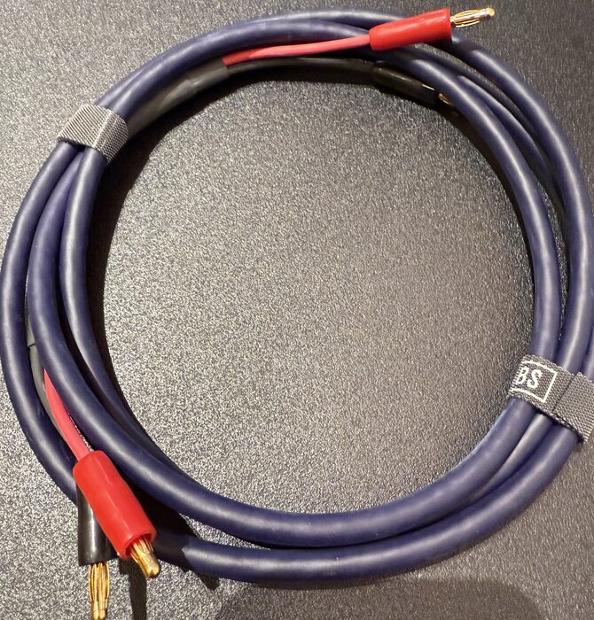 DH Labs T-14 SINGLE Speaker Cable  6 feet Banana Termination, Showroom Demo