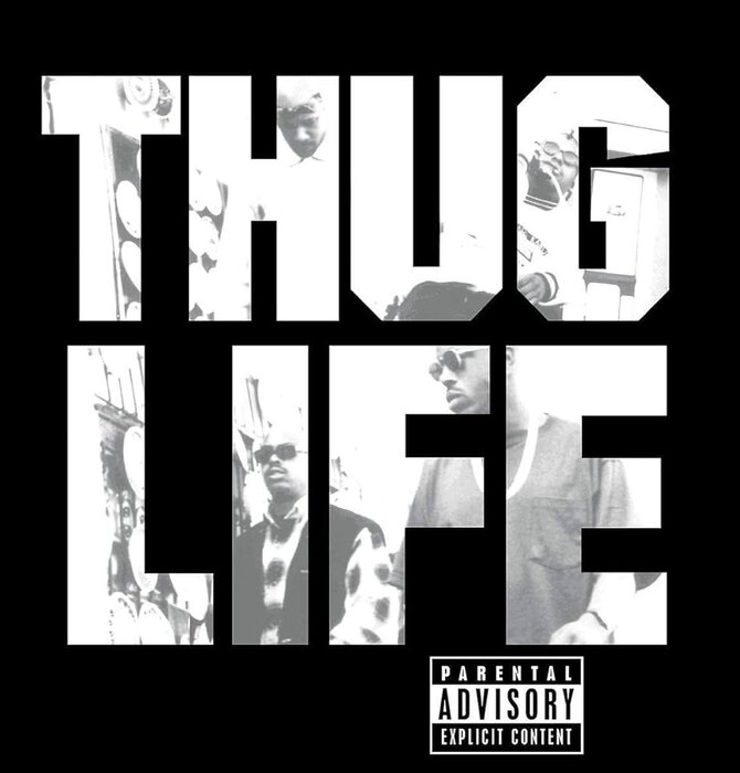 Thug Life - by Thug Life & 2PAC, Volume 1 , Vinyl