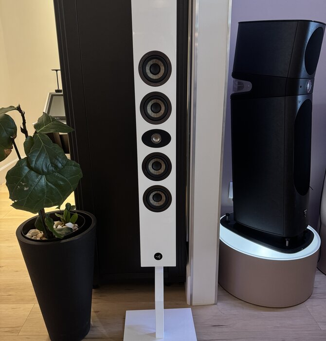 Focal - 302 On-Wall Speaker White High Gloss, Showroom Demo in Mint Condition
