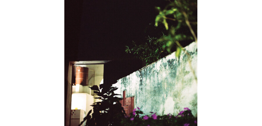 Anthony Wilson Nonet - House Of The Singing Blossoms , Limited Edition Numbered Double LP , 180 Gram Vinyl