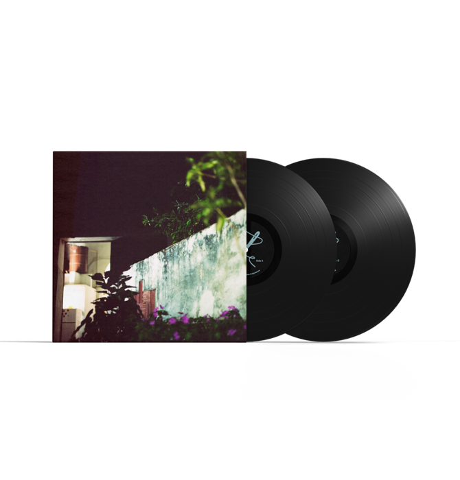 Anthony Wilson Nonet - House Of The Singing Blossoms , Limited Edition Numbered Double LP , 180 Gram Vinyl