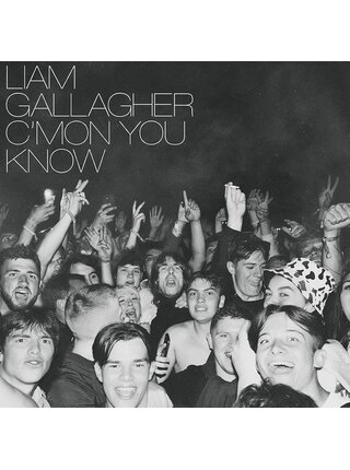 Liam Gallagher - C'Mon You Know , Vinyl Import