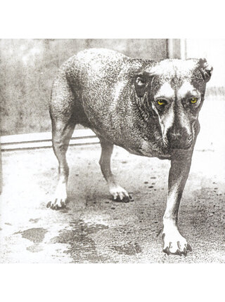 Alice In Chains - 30th Anniversary Limited Edition Yellow 2 LP Vinyl