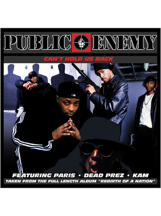 Public Enemy - Can't Hold Us Back , Featuring Paris, Dead Prez & KAM, Vinyl