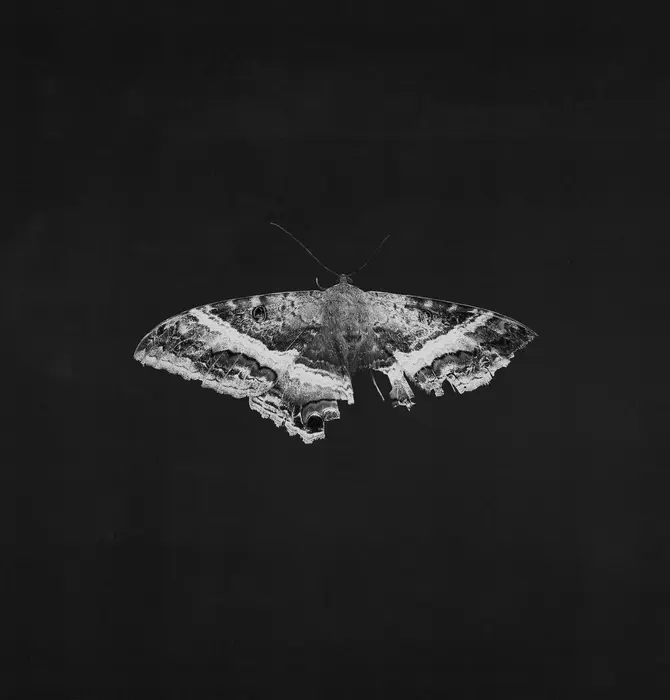 Kendrick Lamar - To Pimp A Butterfly ( X ) 10th. Anniversary Edition , 2LP Vinyl with Alternate Artwork