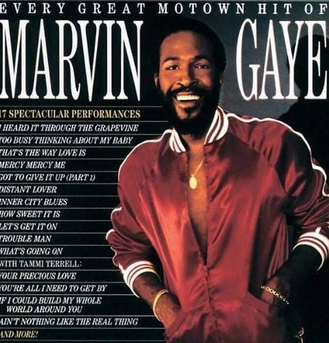 Marvin Gaye - Every Great Motown Hit Of Marvin Gaye , Vinyl