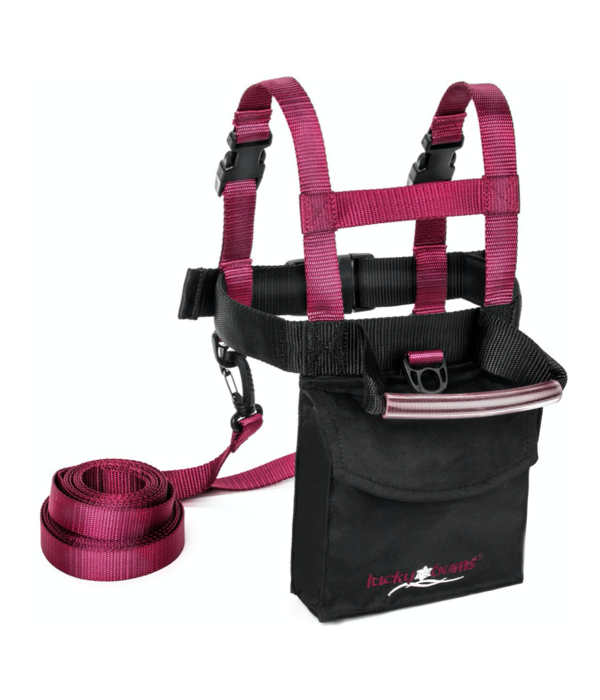 LUCKY BUMS DELUXE SKI TRAINER - PINK