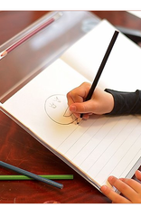 Essay writers in usa