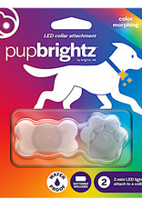 Brightz Pup Brightz Paw and Bone Collar Charms Color Morphing