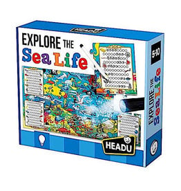 Explore the Sea Life