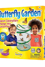 Butterfly Garden - Original