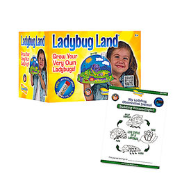 Live Lady Bug Land