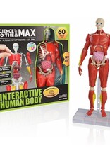 Creative Kids Be Amazing! Toys Interactive Human Body Fully Pose