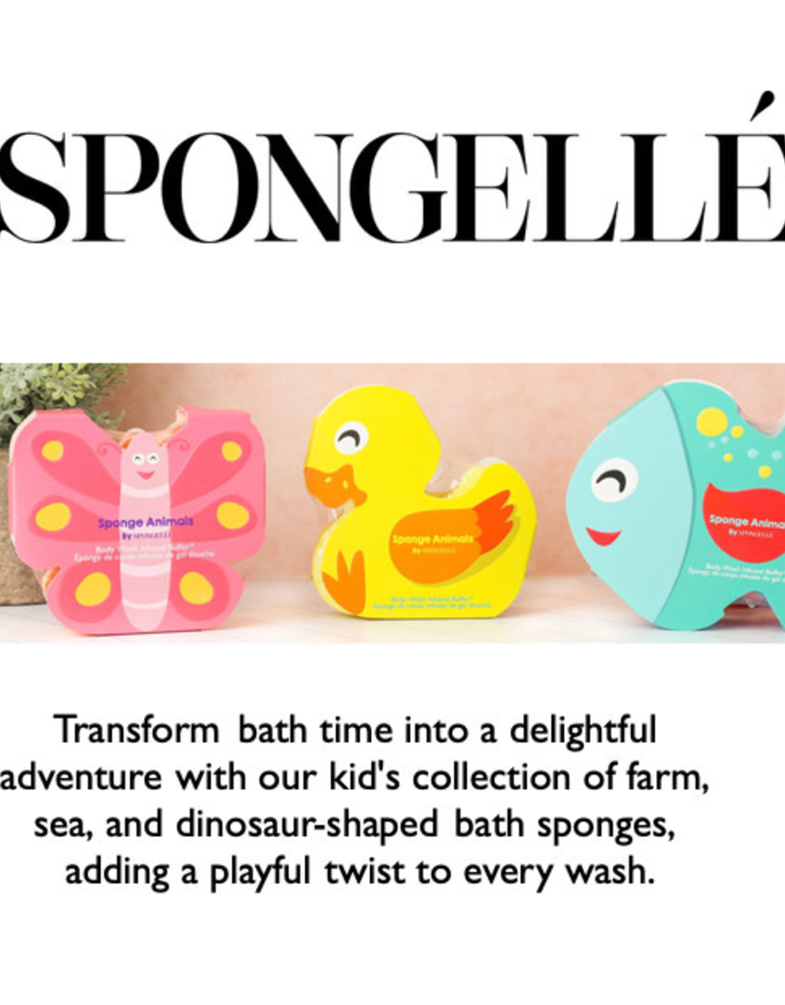 Sponge Animals