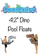 PoolCandy 42" Pool Tube