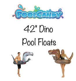 PoolCandy 42" Pool Tube