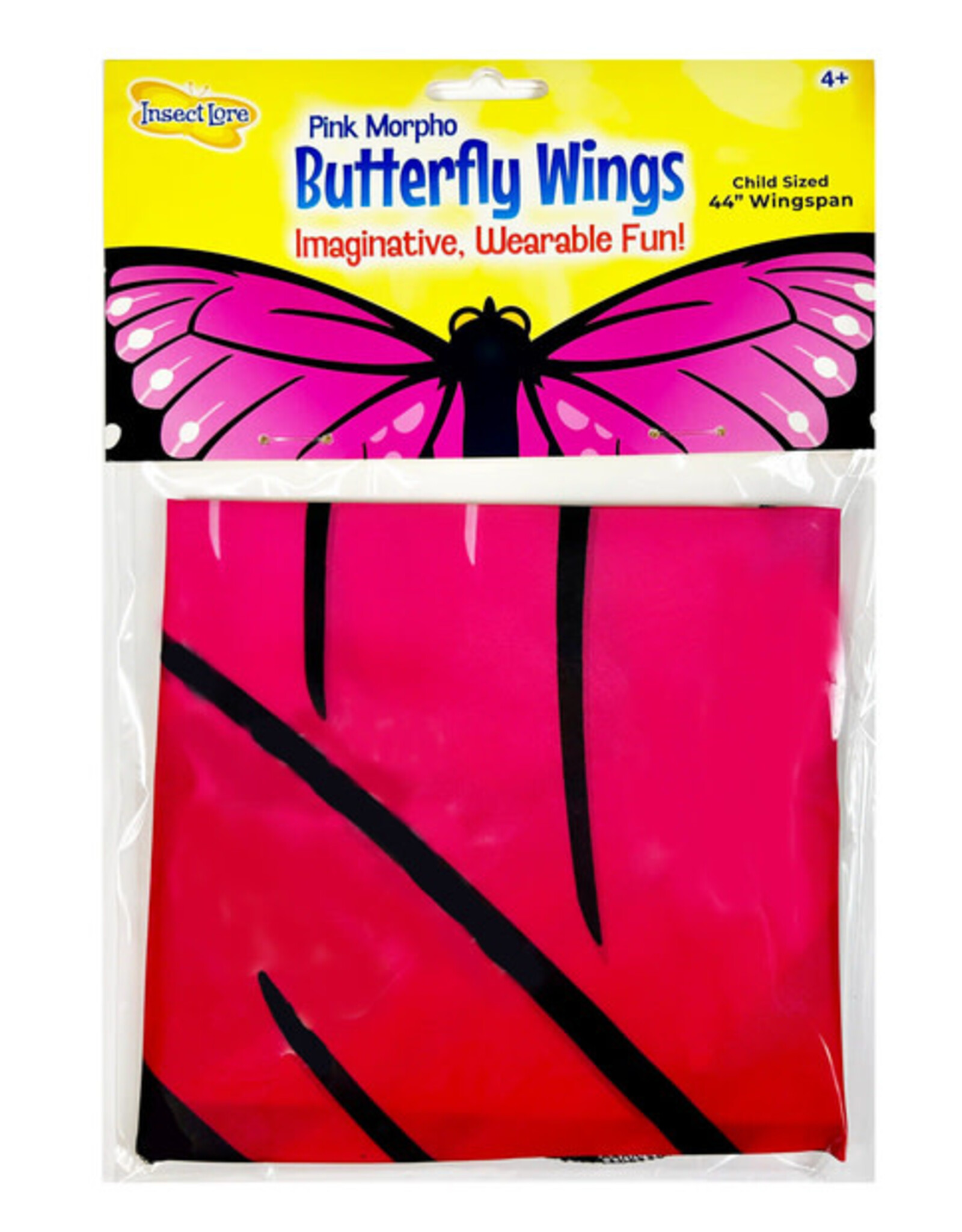 Morpho Butterfly Wings