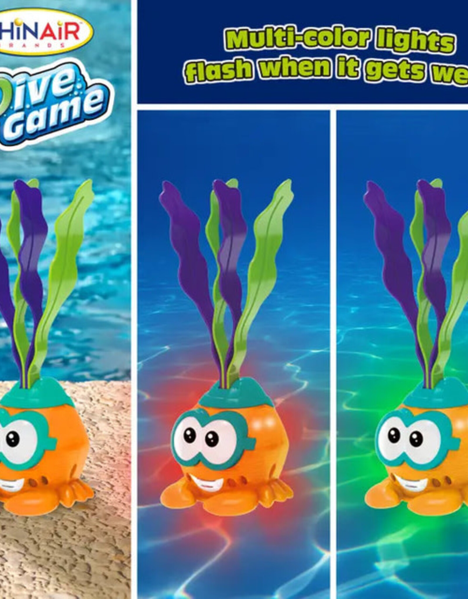 Light-Up Hermit Crab Dive  Toy in PDQ