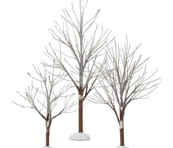 ''First Frost Trees'' Ens de 3  Accessoire Village Général   800007