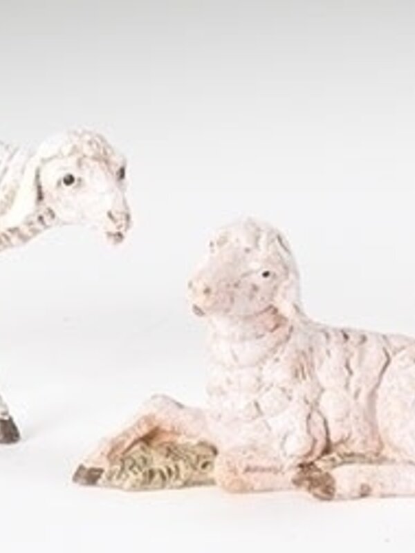 Famille de 3 moutons blanc