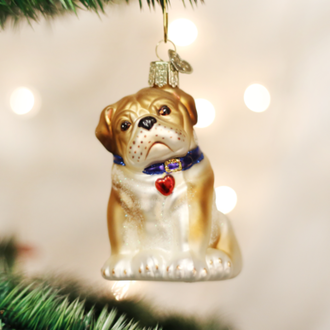 Old World Christmas Chiot Bouledogue. Ornement de verre Old World Christmas Chiot Bouledogue. Ornement de verre